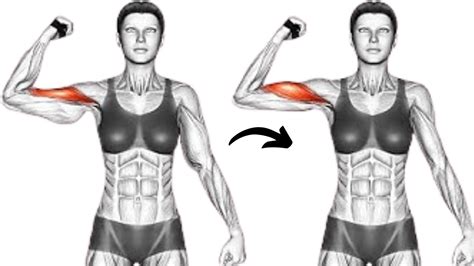 Do This 5 Minute Arms Workout 10 Best Arm Fat Exercises Tone Flabby