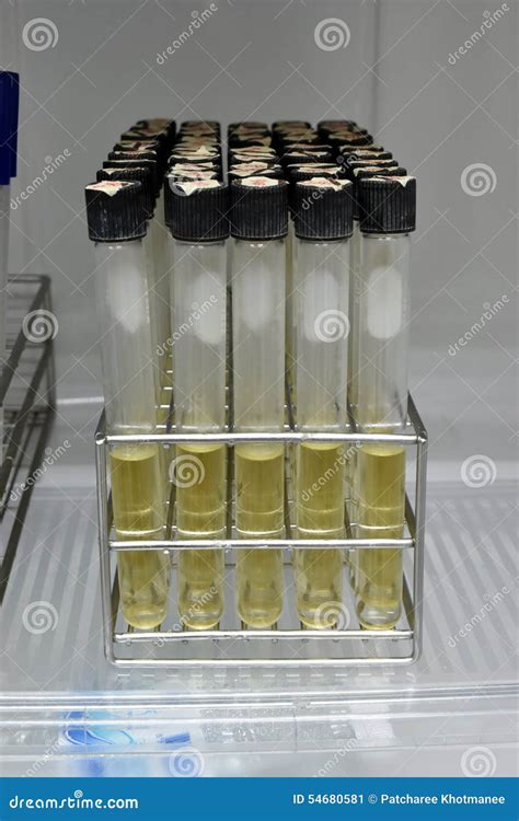 Agar In Test Tube Rack For Testing Microbiology Laboratory Stock Image Image Of Laboratory