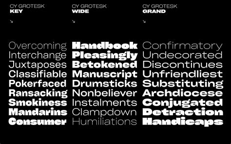 Cy Grotesk — Variable Typeface 1 Free Font Behance