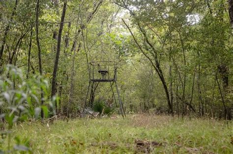 Hunting Land for Sale Just Outside of Baton Rouge - Hunting Land for ...