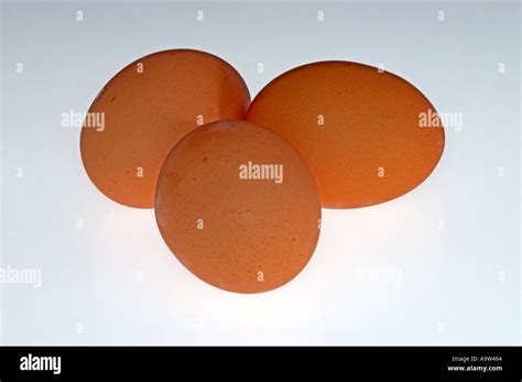 Organic Free Range Eggs Stock Photo - Alamy