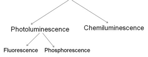 Phosphorescence Chemiluminescence Bioluminescence Flashcards Quizlet