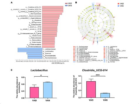 Linear Discriminant Analysis Lda Effect Size Lefse Analysis Of