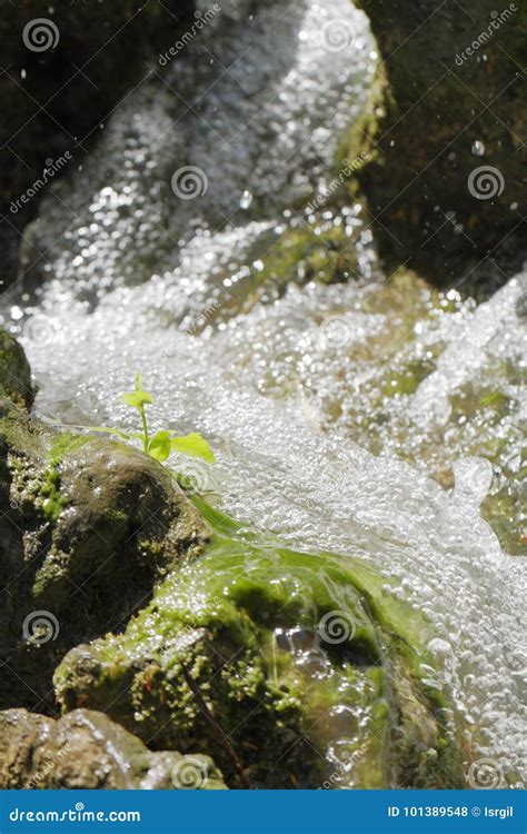 Waterfall Scene in White Water Stock Photo - Image of fall, fresh ...