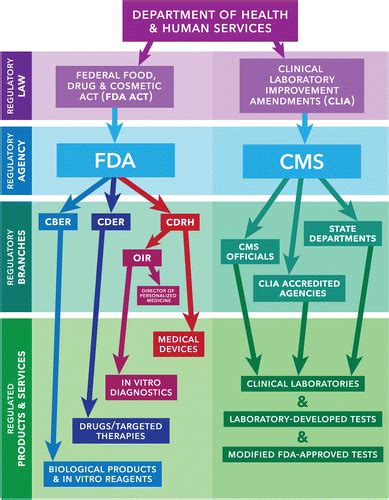 The Growing Role Of Precision And Personalized Medicine For Cancer Treatment Technology