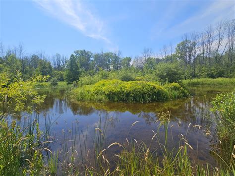 Manitowoc Herald Times Reporter - Slammed by the dairy crisis