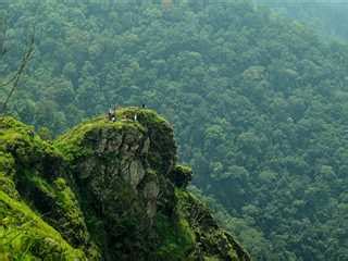 Wayanad Adventure Trekking Expedition