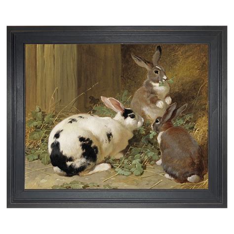 Rabbit Oil Paintings