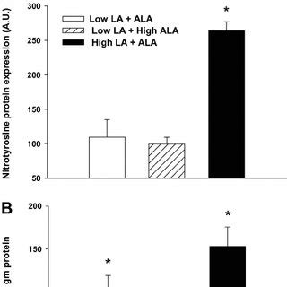 Cardiac oxidative stress. Peroxynitrite-induced damage in the heart was ...