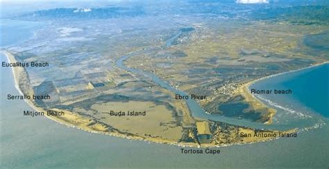 Mouth Of A River