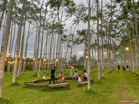 el paso newspaper obits 3