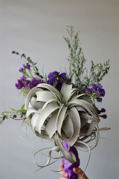 Air Plant Weddings | Tillandsia | Air Plant Design Studio | Tillandsia ...