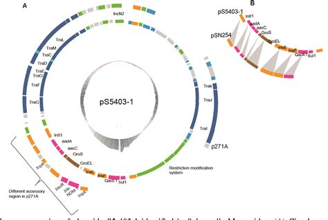 Figure 2 1 From Genomic Characterization Of Salmonella Free Living