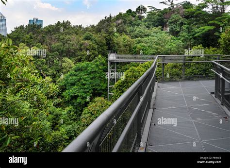 The Southern Ridges trail, Singapore Stock Photo - Alamy