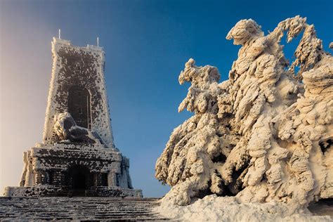 Шипка в бяло - Фотобанка