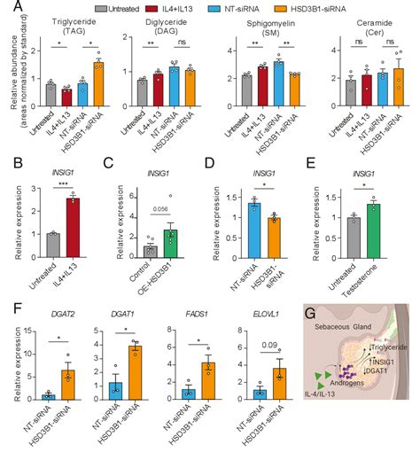 Figure 1 From Interleukins 4 And 13 Drive Lipid Abnormalities In Skin Cells Through Regulation