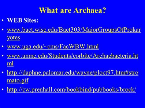 Biodiversity I Biol What Are Archaea Professor Marc C Lavoie