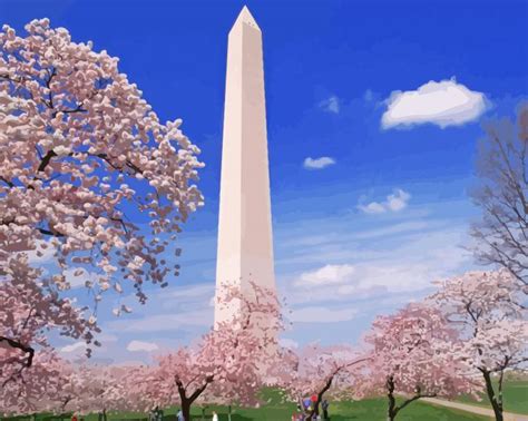 The Washington Monument Cherry Blossom Diamond Painting