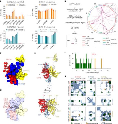 Figure From Mapping Of The Plant Snrk Kinase Signaling Network