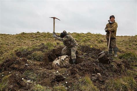 Extraction of Mammoth tusks in Siberia