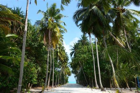 Fulhadhoo: Snorkeling and other useful information