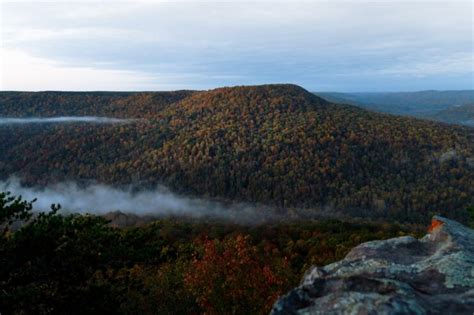 Tennessee Hunting Seasons Updated