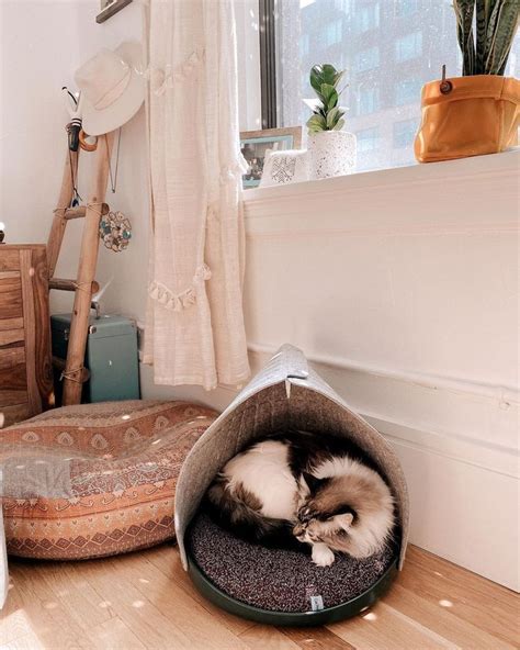 Modern Aesthetic Cat Bed Canopy Bed Cat Person Canopy Bed Canopy