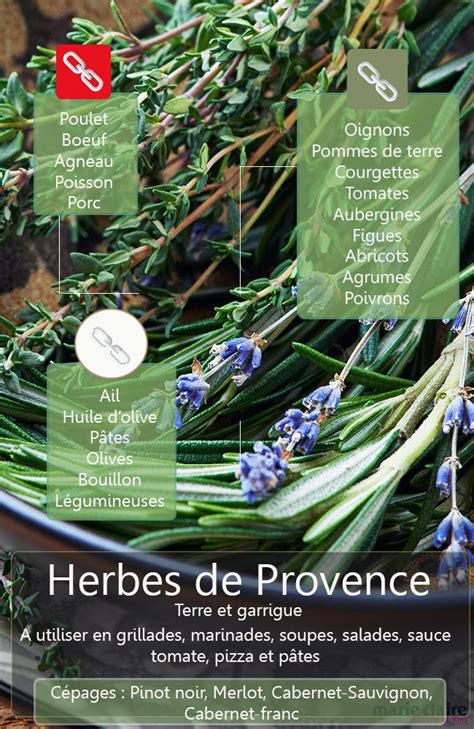 Cuisiner Avec Les Herbes De Provence Nos Id Es Recettes Pices