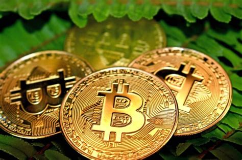 O Que é O Bitcoin O Que Você Precisa Saber Sobre A Criptomoeda