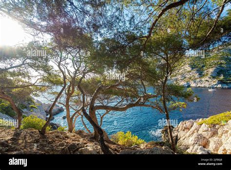 France Bouches Du Rhone Marseille Calanques National Park The