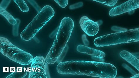 Antibiotic Resistance What Is A Superbug Bbc News