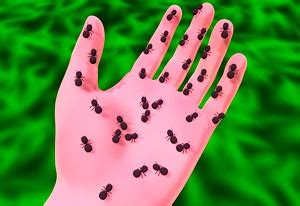 ANTS ADVENTURE free online game on Miniplay.com