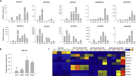 Expression Analysis Of 10 Candidate Genes A Tissue Expression