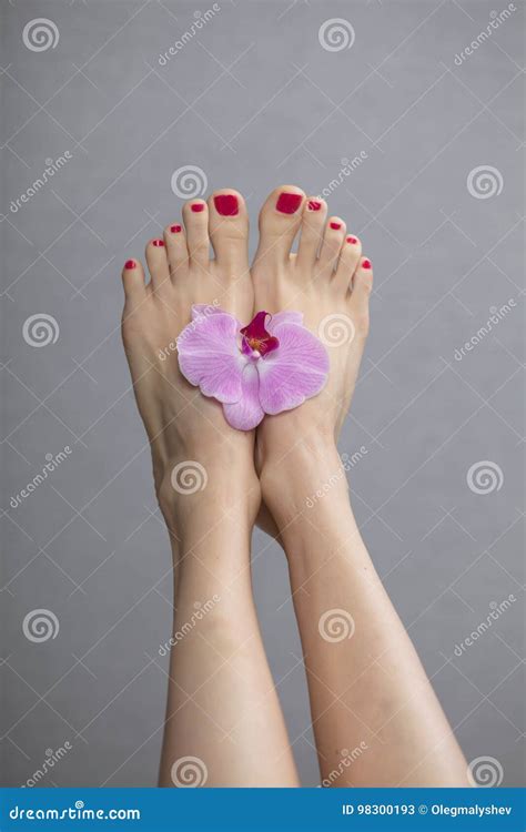 La Pedicura Roja De Los Pies Femeninos De La Elegancia Clava Terapia