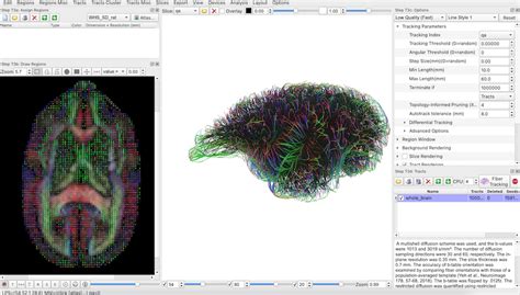 Dwi Marmoset Brain Connectivity Brain Minds