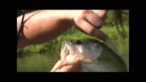 Georgia Largemouth Bass Fishing Youtube