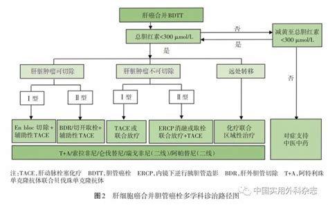 肝细胞癌合并胆管癌栓多学科诊治 中国专家共识（2020版） 春雨医生