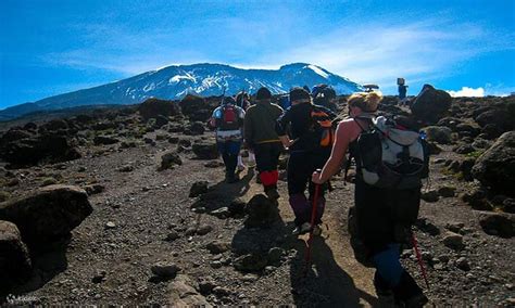 Conquer Mount Kilimanjaro 5 Day Climbing Adventure Via Marangu Route