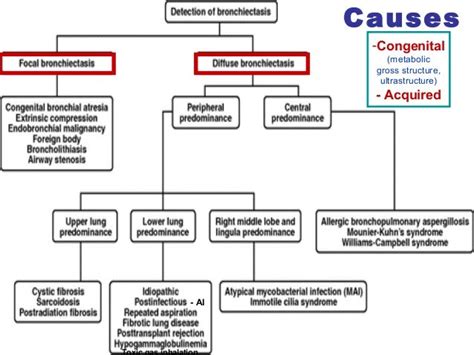 Suppurative lung diseases