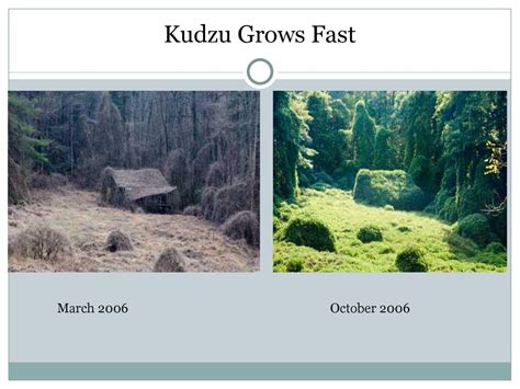 Biodiversity ppt download