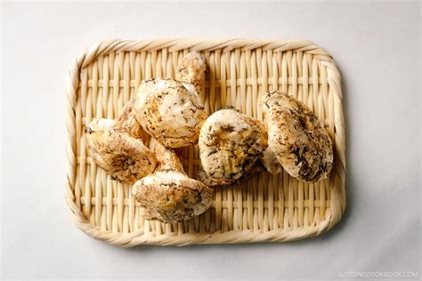 Matsutake Mushroom Pine Mushrooms Just One Cookbook