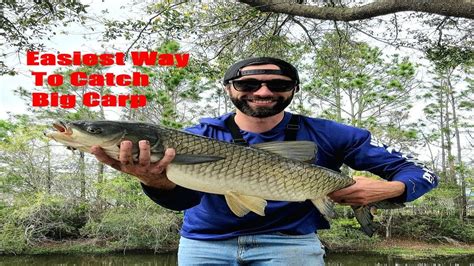 The Easiest Way To Catch Big Carp YouTube