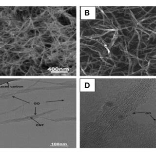 Core Shell G Cnt Hybrid Structure A Sem Image Of Swcnts B Sem