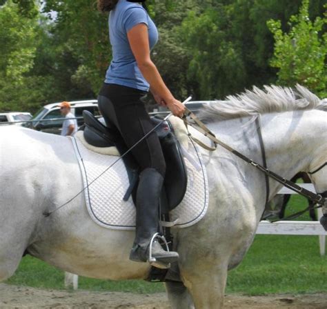 Rising Trot Tutorials Equestrian From Crete