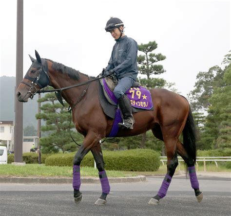 【ノーザンfミックスセール2024】藤田晋氏がジャスティンミラノ半弟を2億9000万円で落札 Umatoku 馬トク