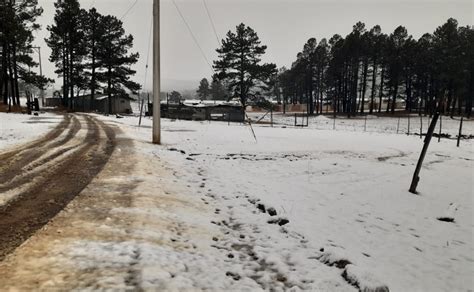 Video Cae Nevada En Plena Primavera En Municipios De Chihuahua