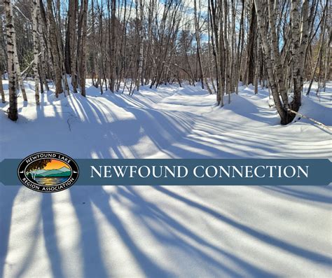 News from Newfound: How clean is Newfound Lake? - Newfound Lake Region ...