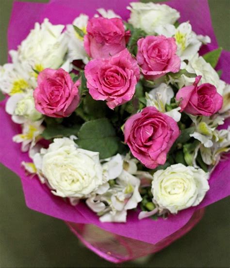 1 dozen pink and white roses