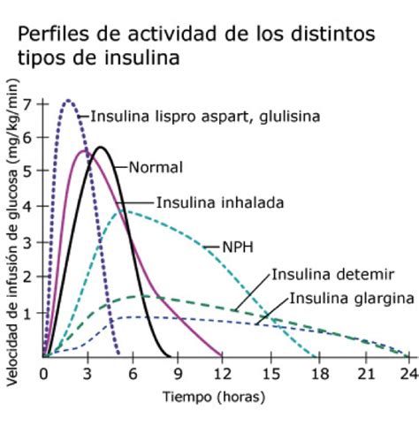 La Insulina Asociaci N De Diab Ticos De Ferrolterra