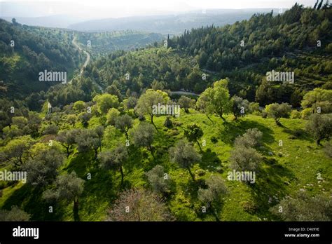 Aerial Photograph Of The Biriya Forest In The Upper Galilee Stock Photo